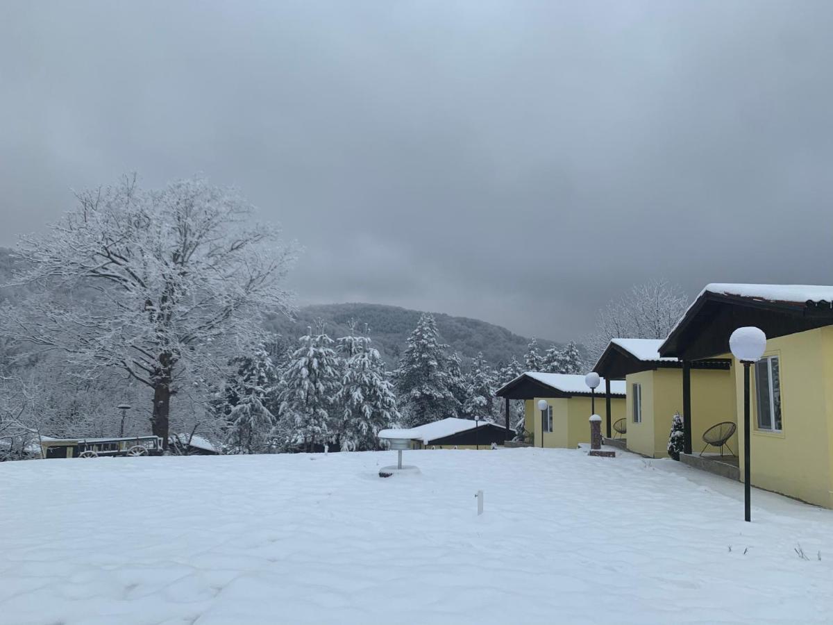 Daskalov Bungalows Chervena Lokva Exteriör bild